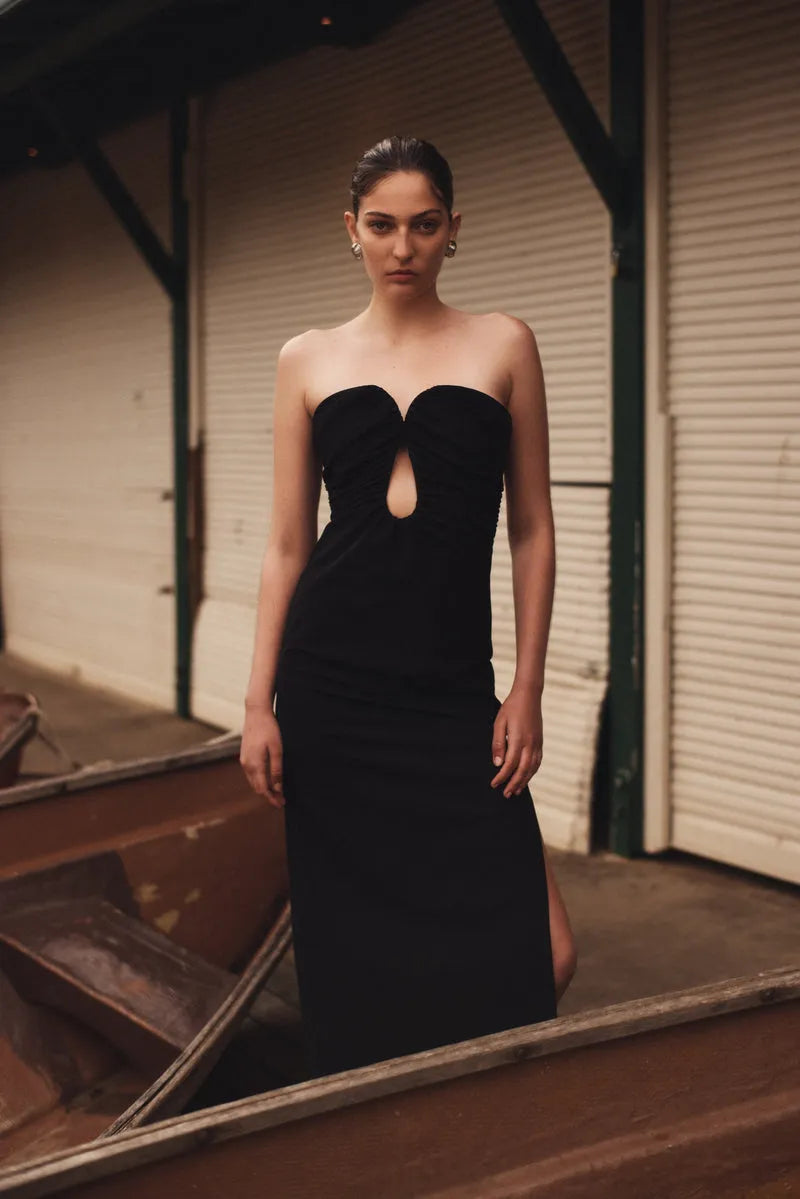 Misha | Dani Maxi Dress