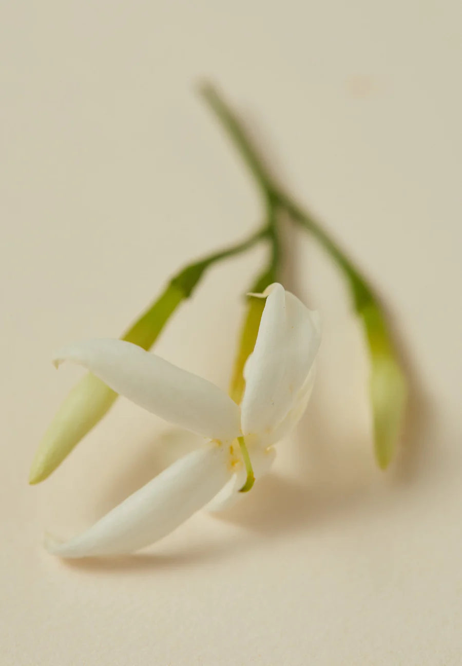 Rumi Scented Oil 30ml