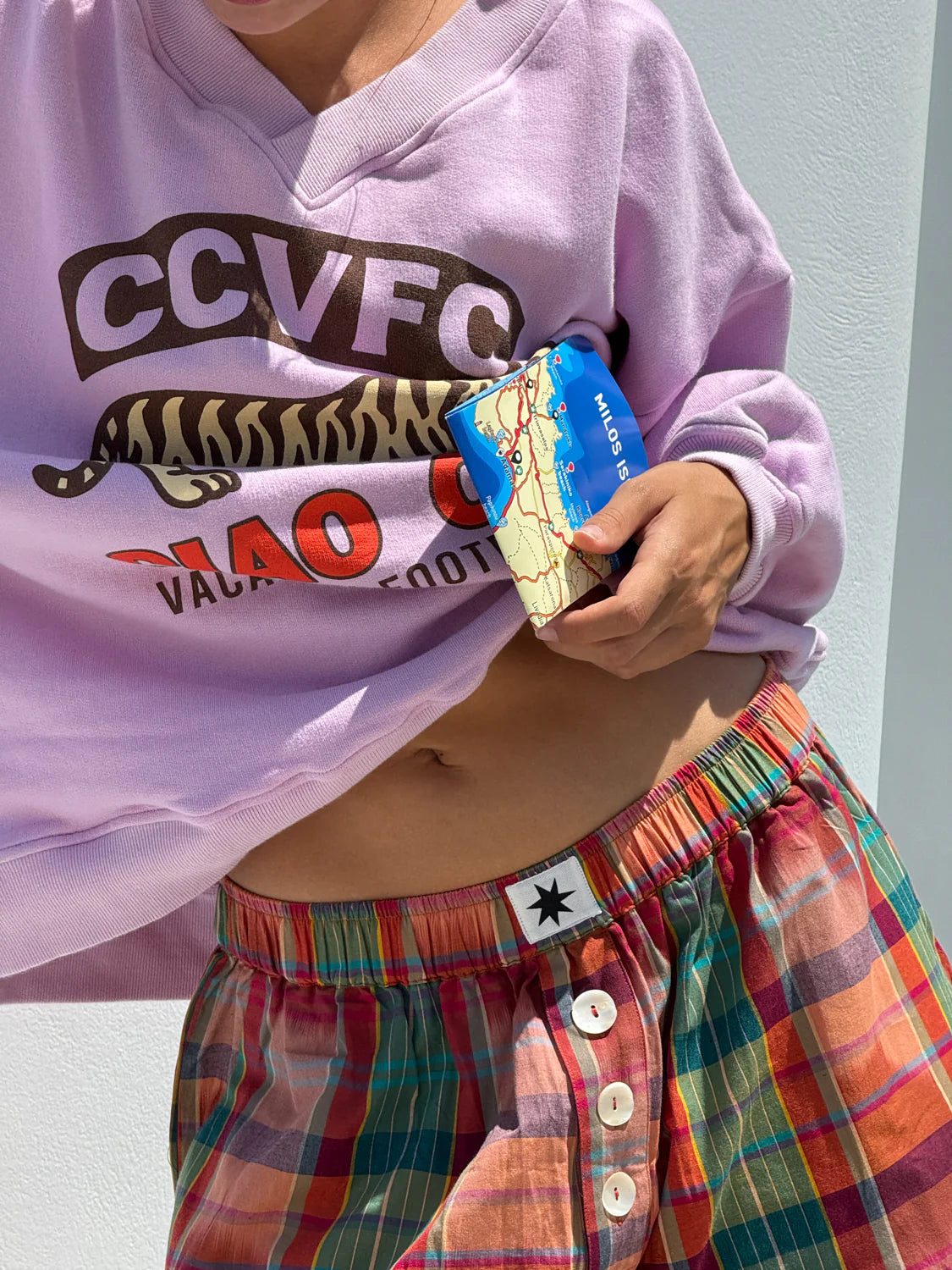 Ciao Ciao Vacation | Binnie Check Boxer Shorts