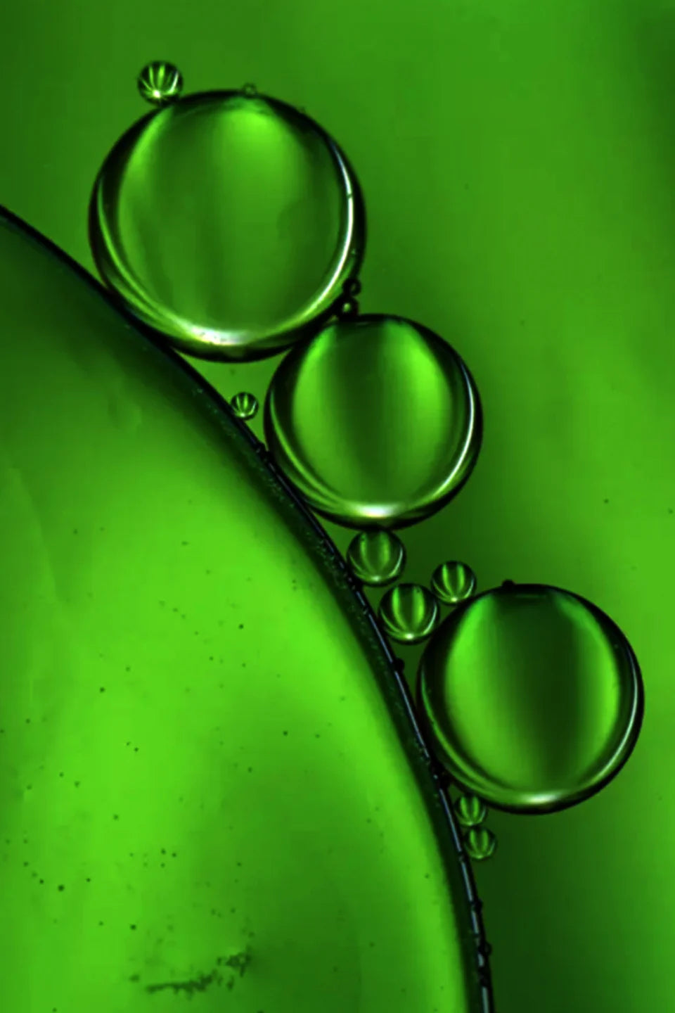 Gracious Minds | Photosynthesis Retinol Alternative