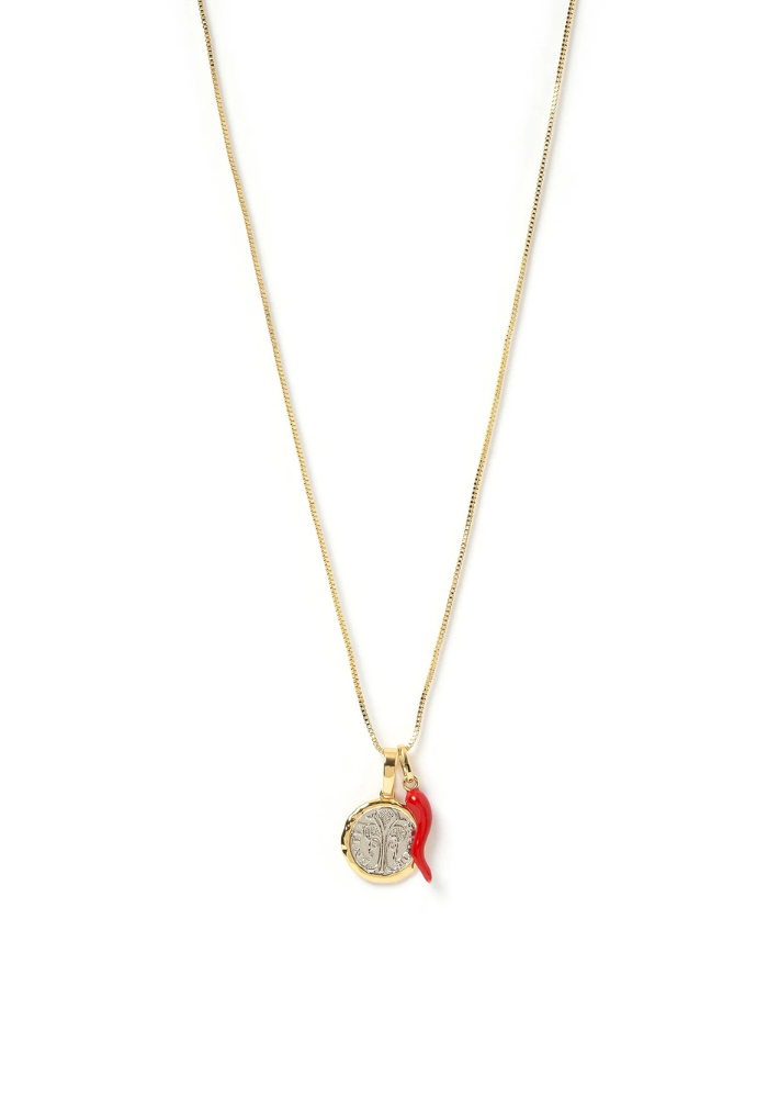Arms Of Eve | A Little Bit Spicy Charm Combo Necklace